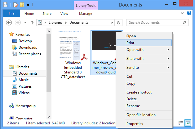 PDF2Printer for Windows 10 1.02 full